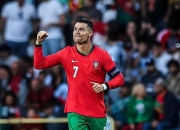 爱游戏- c罗助理 